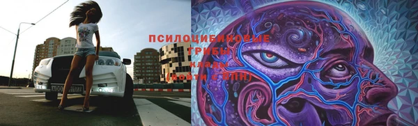 скорость mdpv Богородицк