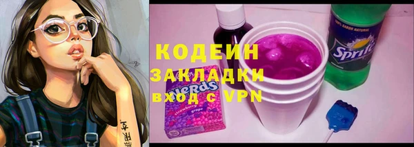 дживик Бронницы