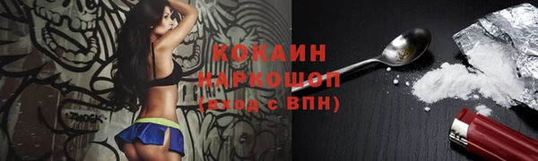 дживик Бронницы