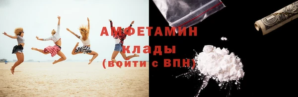 PSILOCYBIN Бородино