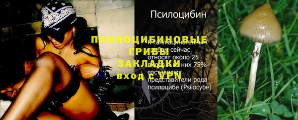 мяу мяу мука Бугульма