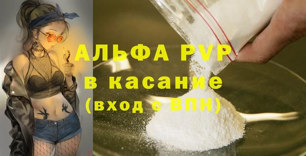 PSILOCYBIN Бородино