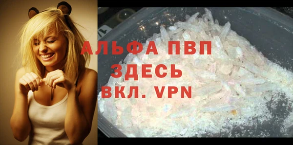 PSILOCYBIN Бородино