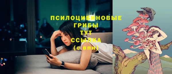 мяу мяу мука Бугульма